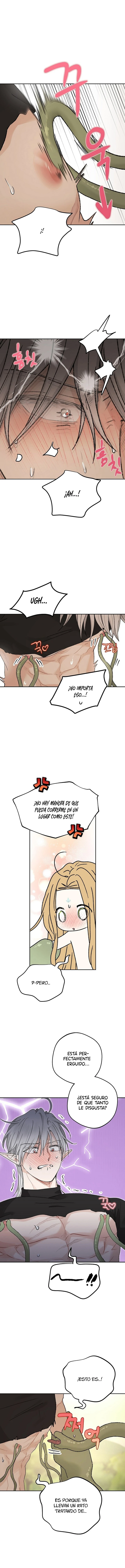 Apareamiento De Elfos Capítulo 71 - Página 4