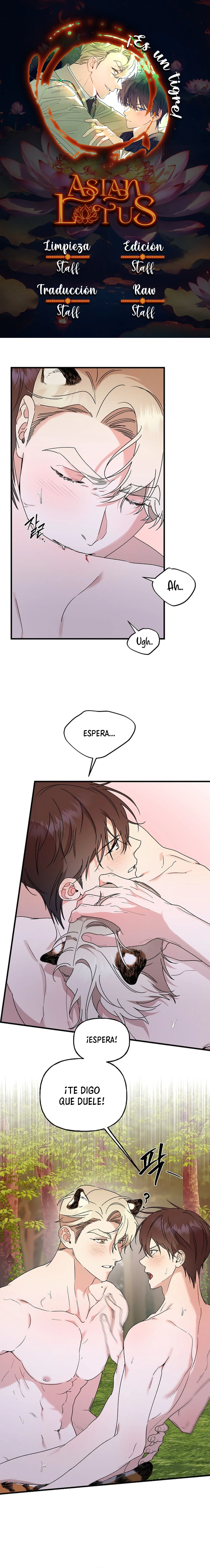 ¡Es un tigre! Capítulo 25 - Página 1