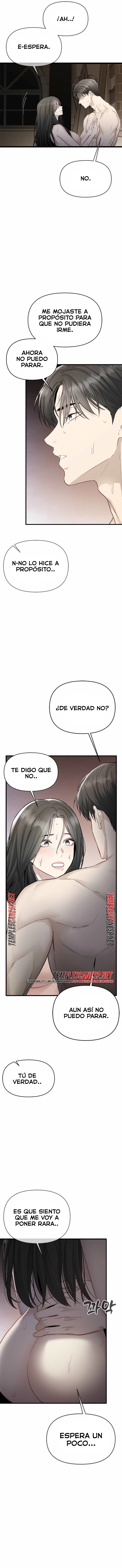 Empapandose Lentamente En La Dulce Lluvia Capítulo 63 - Página 7