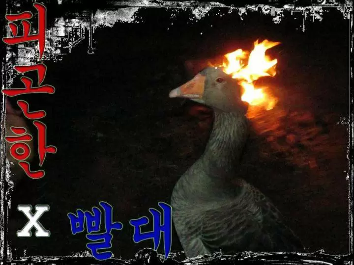 Sexual Teacher Capítulo 54 - Página 1