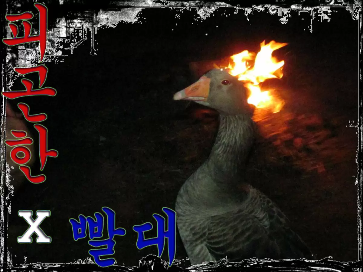 Sexual Teacher Capítulo 8 - Página 1
