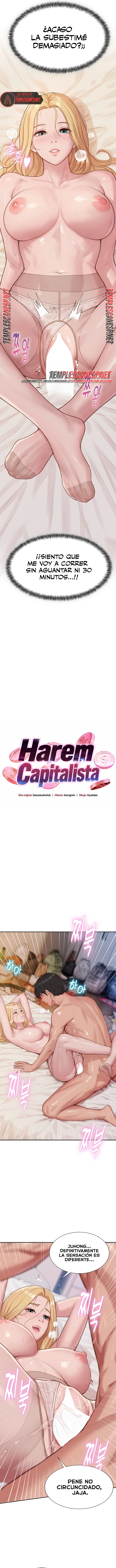 Harem Capitalista Capítulo 17 - Página 2